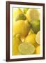 Lemons and Limes Close-Up-null-Framed Photographic Print