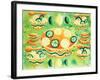 Lemons and Limes with Bowls, 2006-Julie Nicholls-Framed Giclee Print