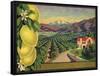 Lemons and Orchard - Citrus Crate Label-Lantern Press-Framed Stretched Canvas
