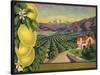 Lemons and Orchard - Citrus Crate Label-Lantern Press-Stretched Canvas