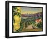 Lemons and Orchard - Citrus Crate Label-Lantern Press-Framed Art Print