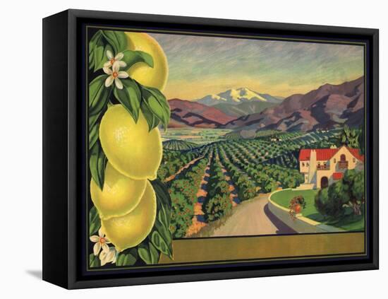 Lemons and Orchard - Citrus Crate Label-Lantern Press-Framed Stretched Canvas