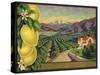 Lemons and Orchard - Citrus Crate Label-Lantern Press-Stretched Canvas