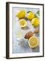 Lemons, Citrus-Press and Juice-Jana Ihle-Framed Photographic Print