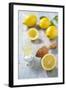 Lemons, Citrus-Press and Juice-Jana Ihle-Framed Photographic Print