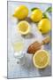 Lemons, Citrus-Press and Juice-Jana Ihle-Mounted Photographic Print
