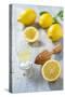 Lemons, Citrus-Press and Juice-Jana Ihle-Stretched Canvas