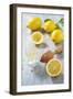 Lemons, Citrus-Press and Juice-Jana Ihle-Framed Photographic Print