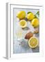 Lemons, Citrus-Press and Juice-Jana Ihle-Framed Photographic Print