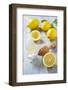 Lemons, Citrus-Press and Juice-Jana Ihle-Framed Photographic Print