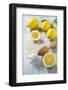 Lemons, Citrus-Press and Juice-Jana Ihle-Framed Photographic Print