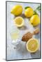 Lemons, Citrus-Press and Juice-Jana Ihle-Mounted Photographic Print