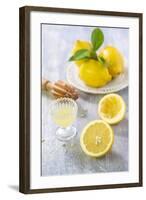 Lemons, Citrus-Press and Juice-Jana Ihle-Framed Photographic Print