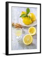 Lemons, Citrus-Press and Juice-Jana Ihle-Framed Photographic Print