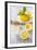 Lemons, Citrus-Press and Juice-Jana Ihle-Framed Photographic Print