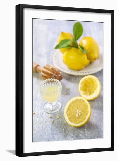 Lemons, Citrus-Press and Juice-Jana Ihle-Framed Photographic Print