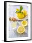 Lemons, Citrus-Press and Juice-Jana Ihle-Framed Photographic Print