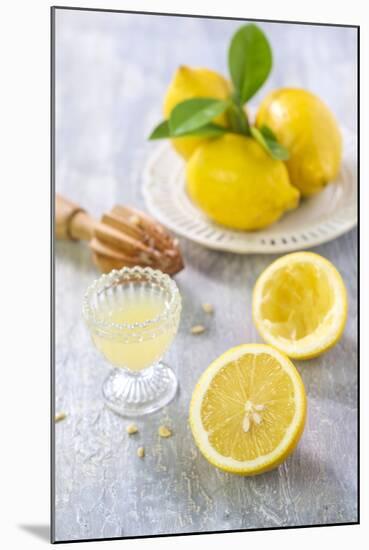 Lemons, Citrus-Press and Juice-Jana Ihle-Mounted Photographic Print