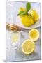 Lemons, Citrus-Press and Juice-Jana Ihle-Mounted Photographic Print