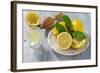 Lemons, Citrus-Press and Juice-Jana Ihle-Framed Photographic Print