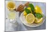 Lemons, Citrus-Press and Juice-Jana Ihle-Mounted Photographic Print