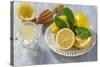 Lemons, Citrus-Press and Juice-Jana Ihle-Stretched Canvas