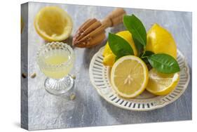 Lemons, Citrus-Press and Juice-Jana Ihle-Stretched Canvas