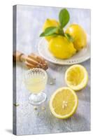 Lemons, Citrus-Press and Juice-Jana Ihle-Stretched Canvas