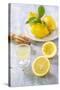 Lemons, Citrus-Press and Juice-Jana Ihle-Stretched Canvas