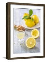 Lemons, Citrus-Press and Juice-Jana Ihle-Framed Photographic Print