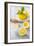 Lemons, Citrus-Press and Juice-Jana Ihle-Framed Photographic Print