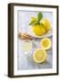 Lemons, Citrus-Press and Juice-Jana Ihle-Framed Photographic Print