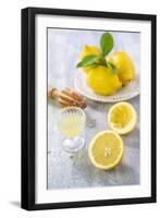 Lemons, Citrus-Press and Juice-Jana Ihle-Framed Photographic Print