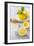 Lemons, Citrus-Press and Juice-Jana Ihle-Framed Photographic Print