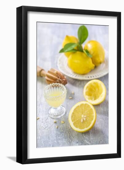 Lemons, Citrus-Press and Juice-Jana Ihle-Framed Photographic Print