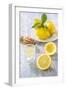 Lemons, Citrus-Press and Juice-Jana Ihle-Framed Photographic Print