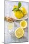 Lemons, Citrus-Press and Juice-Jana Ihle-Mounted Photographic Print