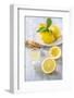 Lemons, Citrus-Press and Juice-Jana Ihle-Framed Photographic Print