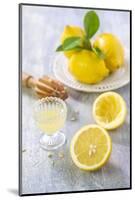 Lemons, Citrus-Press and Juice-Jana Ihle-Mounted Photographic Print