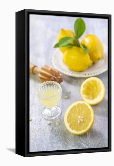 Lemons, Citrus-Press and Juice-Jana Ihle-Framed Stretched Canvas