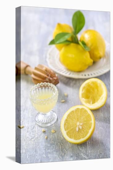 Lemons, Citrus-Press and Juice-Jana Ihle-Stretched Canvas