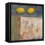 Lemons from Paris I-Carol Black-Framed Stretched Canvas