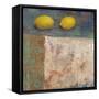 Lemons from Paris I-Carol Black-Framed Stretched Canvas