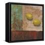 Lemons from Paris II-Carol Black-Framed Stretched Canvas
