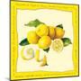 Lemons I-null-Mounted Art Print