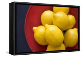 Lemons II-Karyn Millet-Framed Stretched Canvas