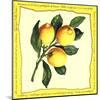 Lemons III-null-Mounted Art Print