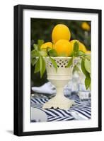 Lemons III-Karyn Millet-Framed Photographic Print