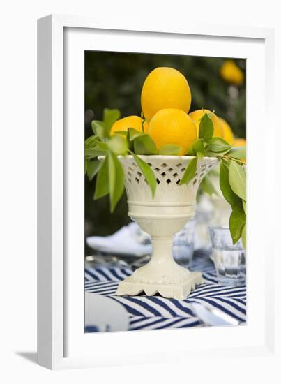 Lemons III-Karyn Millet-Framed Photographic Print