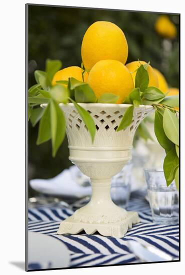 Lemons III-Karyn Millet-Mounted Photographic Print